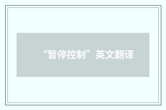 “暂停控制”英文翻译