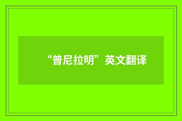 “普尼拉明”英文翻译