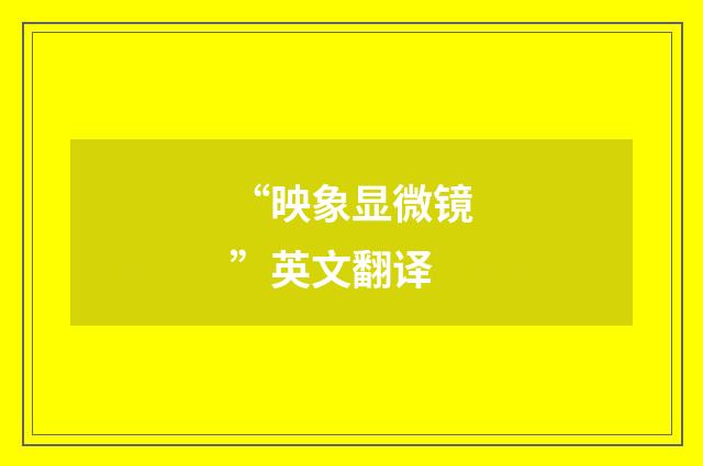 “映象显微镜”英文翻译