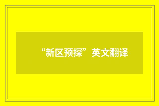 “新区预探”英文翻译