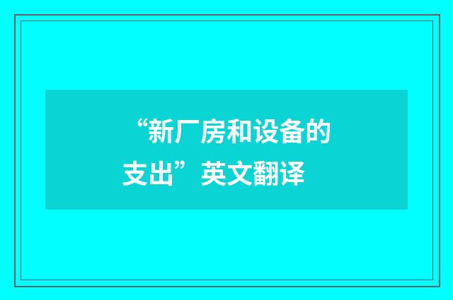 “新厂房和设备的支出”英文翻译