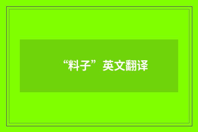 “料子”英文翻译