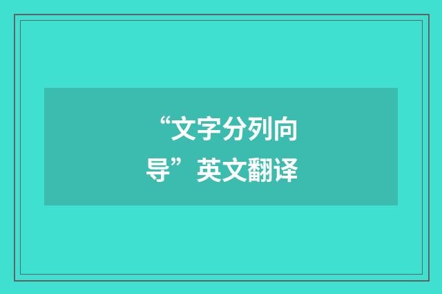“文字分列向导”英文翻译