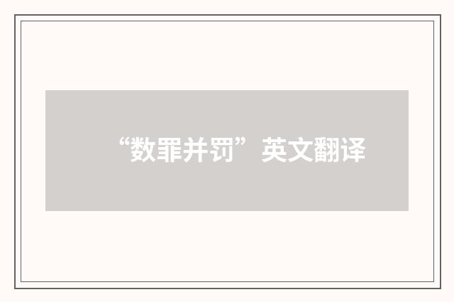 “数罪并罚”英文翻译