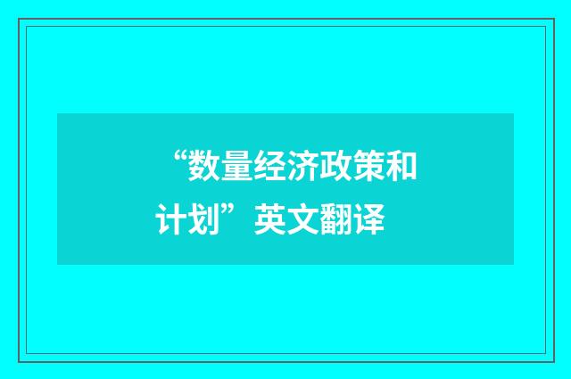 “数量经济政策和计划”英文翻译