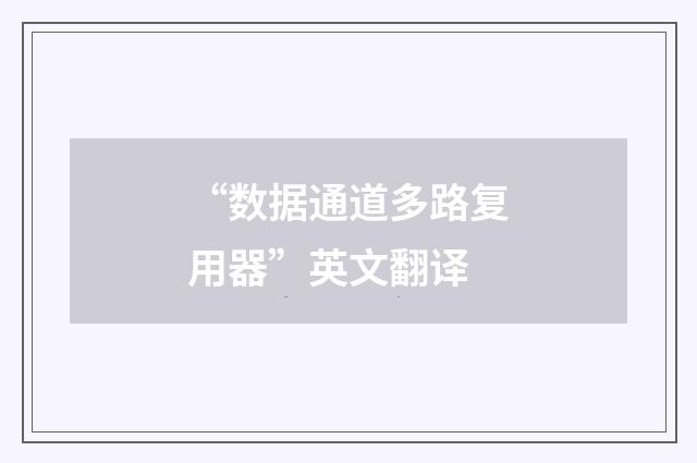 “数据通道多路复用器”英文翻译