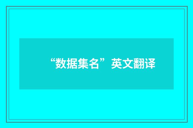 “数据集名”英文翻译