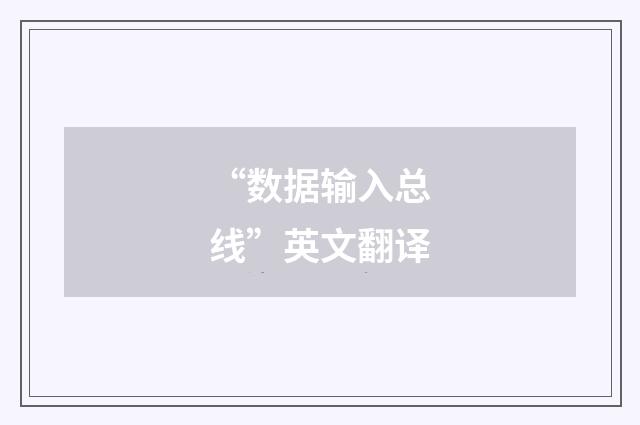 “数据输入总线”英文翻译