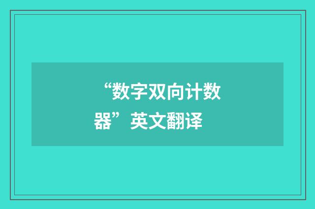 “数字双向计数器”英文翻译