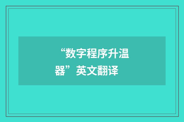“数字程序升温器”英文翻译