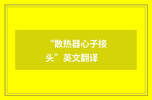 “散热器心子接头”英文翻译