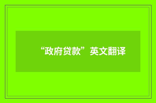 “政府贷款”英文翻译