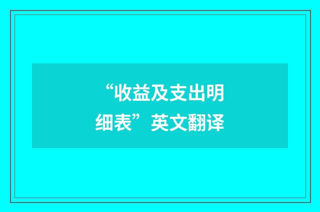 “收益及支出明细表”英文翻译