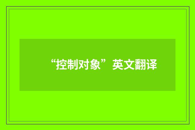 “控制对象”英文翻译