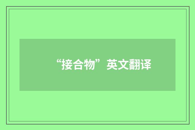 “接合物”英文翻译