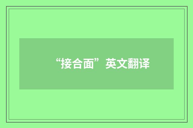 “接合面”英文翻译