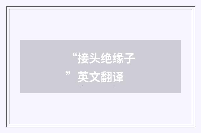 “接头绝缘子”英文翻译