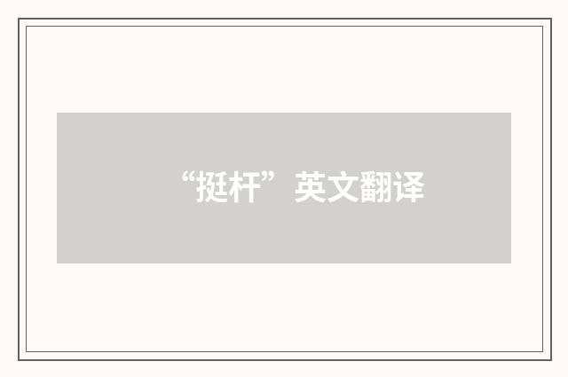 “挺杆”英文翻译