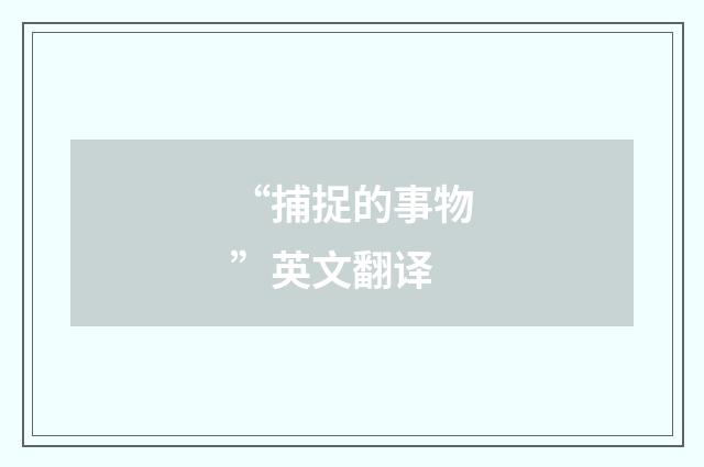 “捕捉的事物”英文翻译