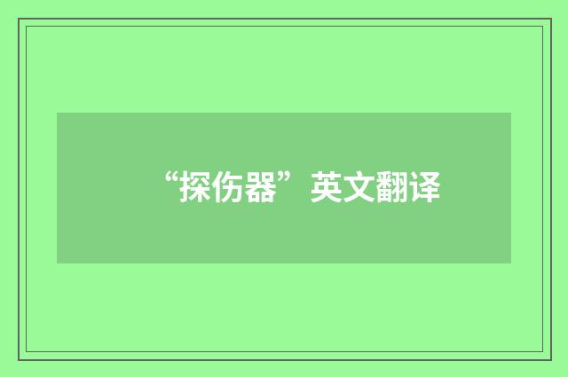 “探伤器”英文翻译