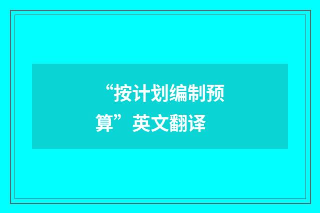 “按计划编制预算”英文翻译