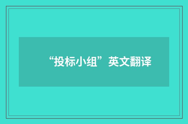 “投标小组”英文翻译