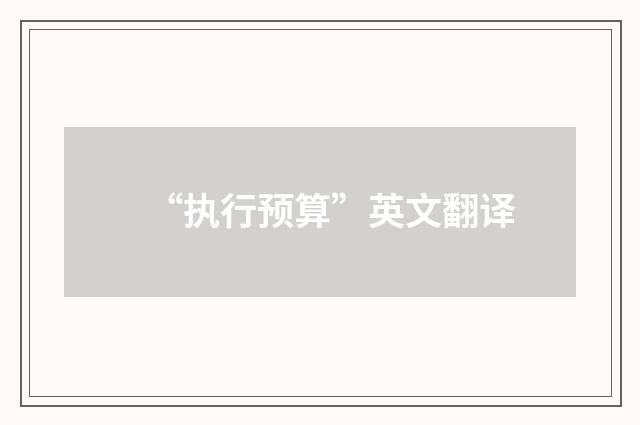 “执行预算”英文翻译