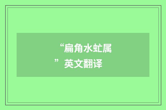 “扁角水虻属”英文翻译