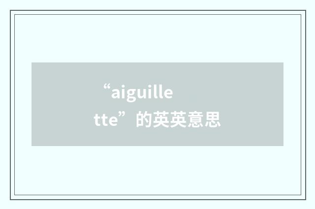 “aiguillette”的英英意思