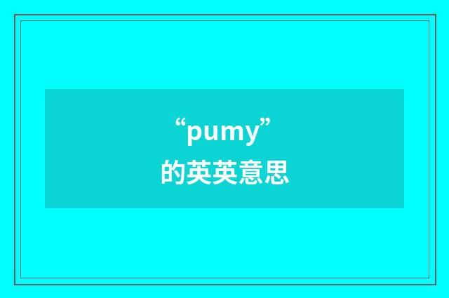 “pumy”的英英意思