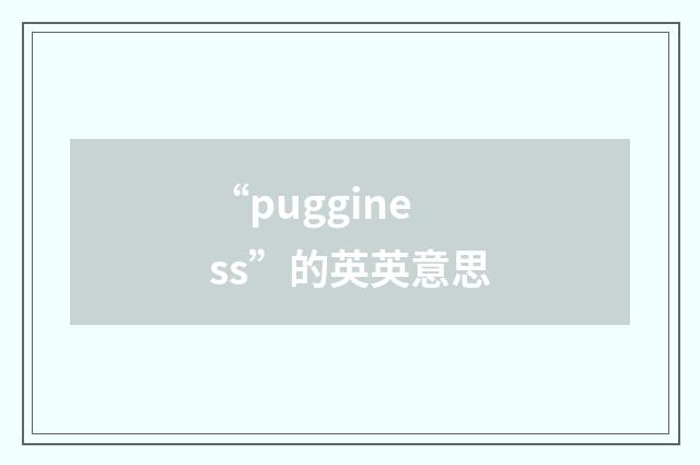 “pugginess”的英英意思