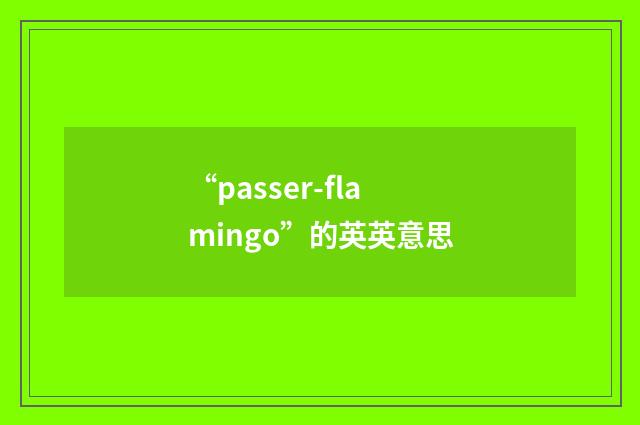 “passer-flamingo”的英英意思