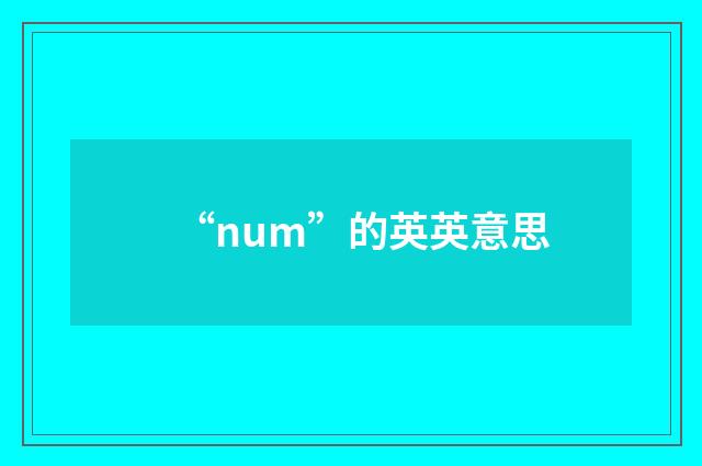 “num”的英英意思