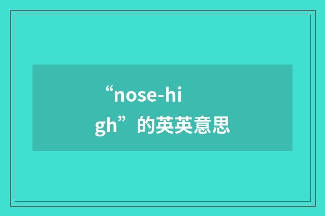 “nose-high”的英英意思