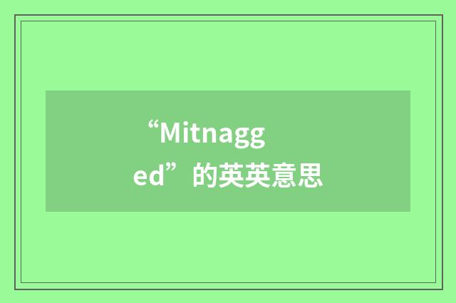 “Mitnagged”的英英意思