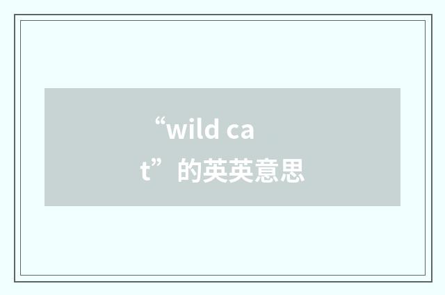 “wild cat”的英英意思