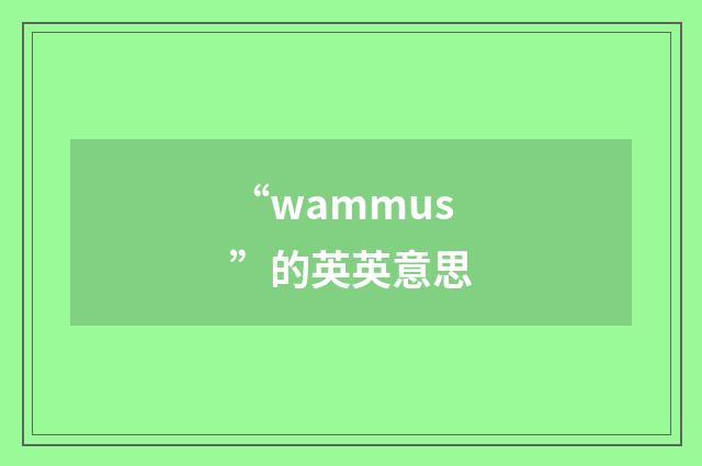 “wammus”的英英意思