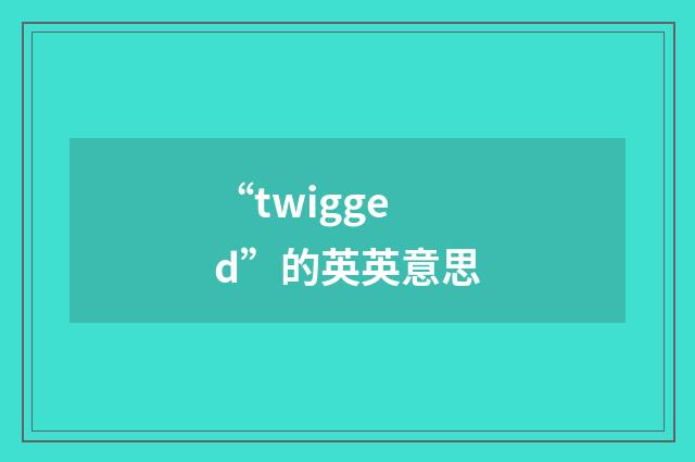 “twigged”的英英意思