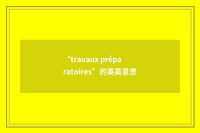 “travaux préparatoires”的英英意思