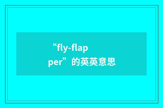 “fly-flapper”的英英意思
