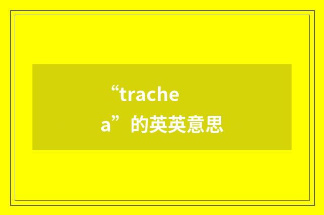 “trachea”的英英意思