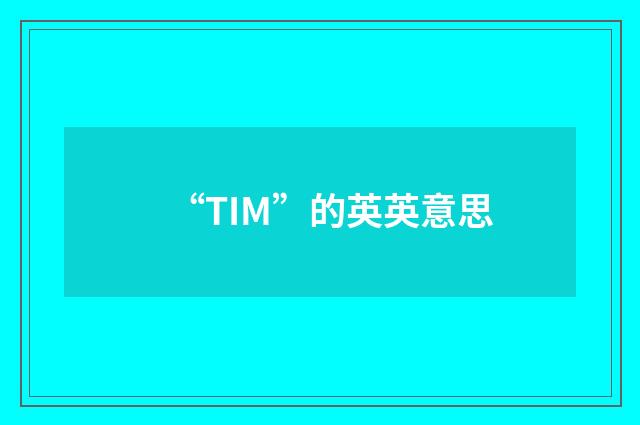 “TIM”的英英意思
