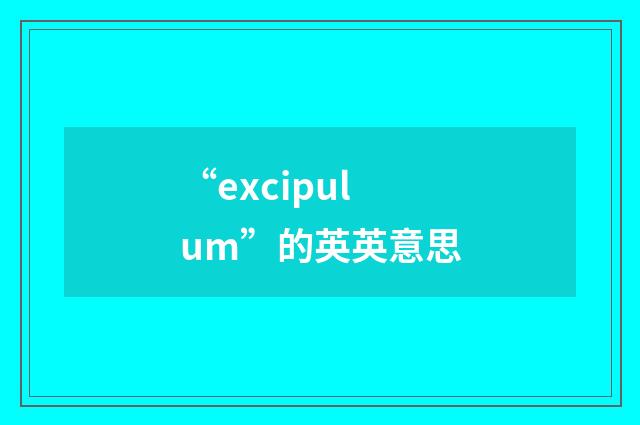 “excipulum”的英英意思