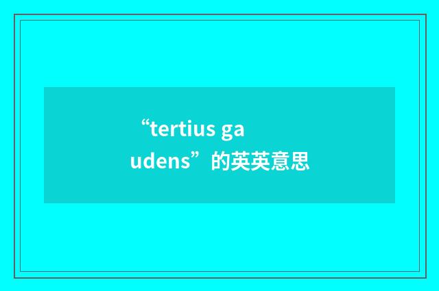 “tertius gaudens”的英英意思