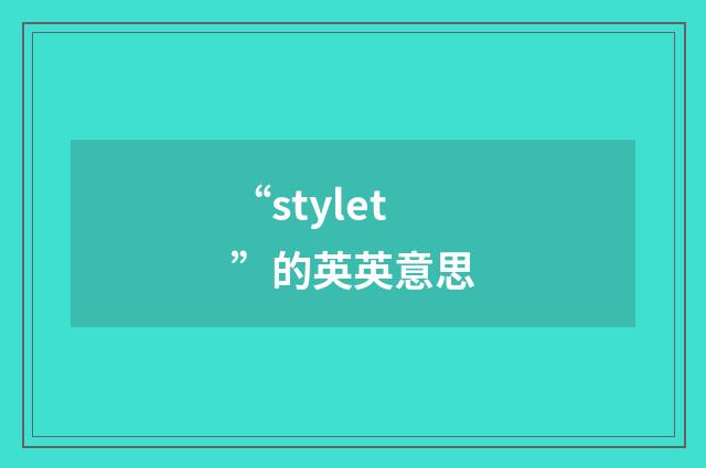 “stylet”的英英意思