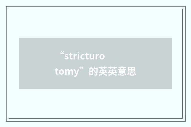 “stricturotomy”的英英意思