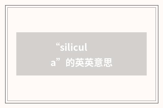 “silicula”的英英意思