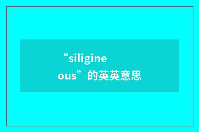 “siligineous”的英英意思