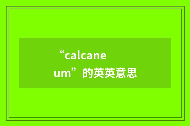 “calcaneum”的英英意思