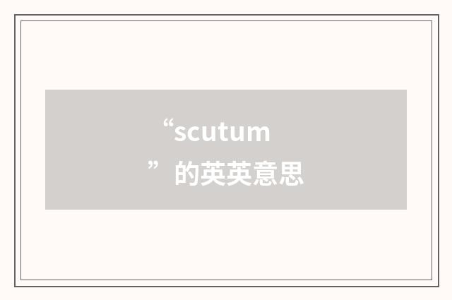 “scutum”的英英意思
